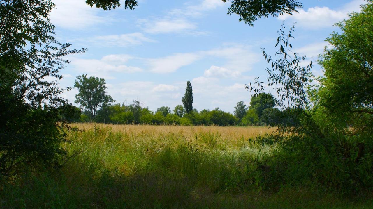 Ferienwohnung Fuchsberge Letschin ภายนอก รูปภาพ