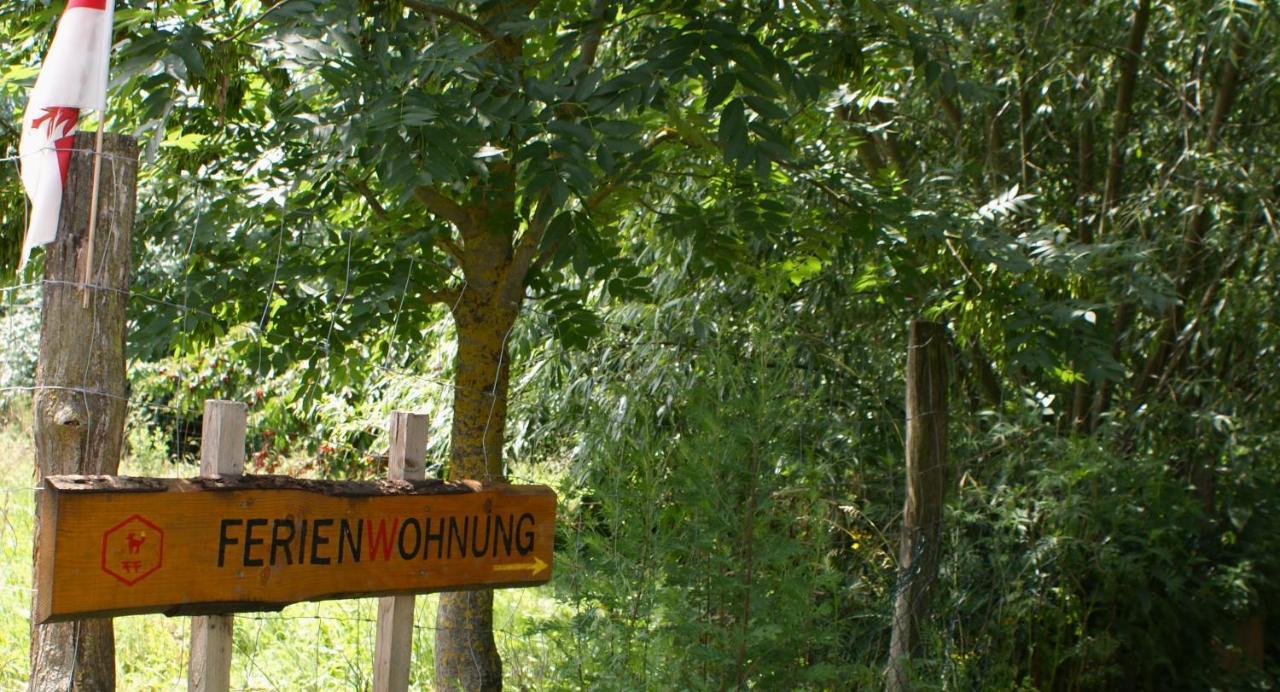 Ferienwohnung Fuchsberge Letschin ภายนอก รูปภาพ